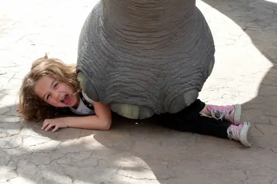 Girl trapped by elephant