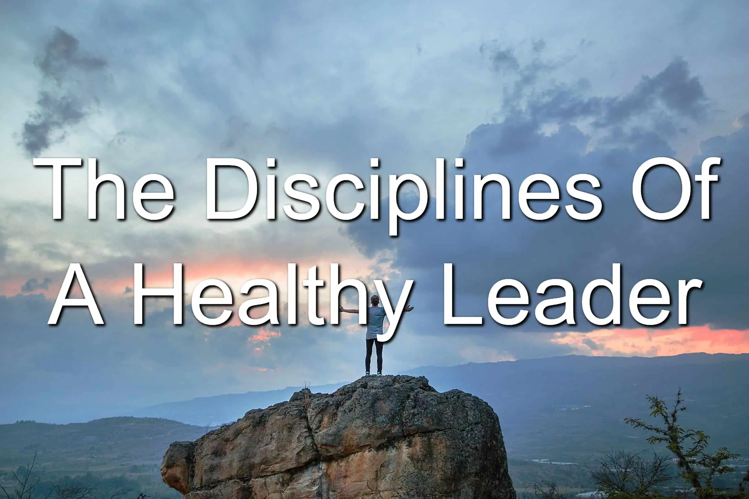 What disciplines does a healthy leader have?