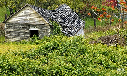 Broken barn
