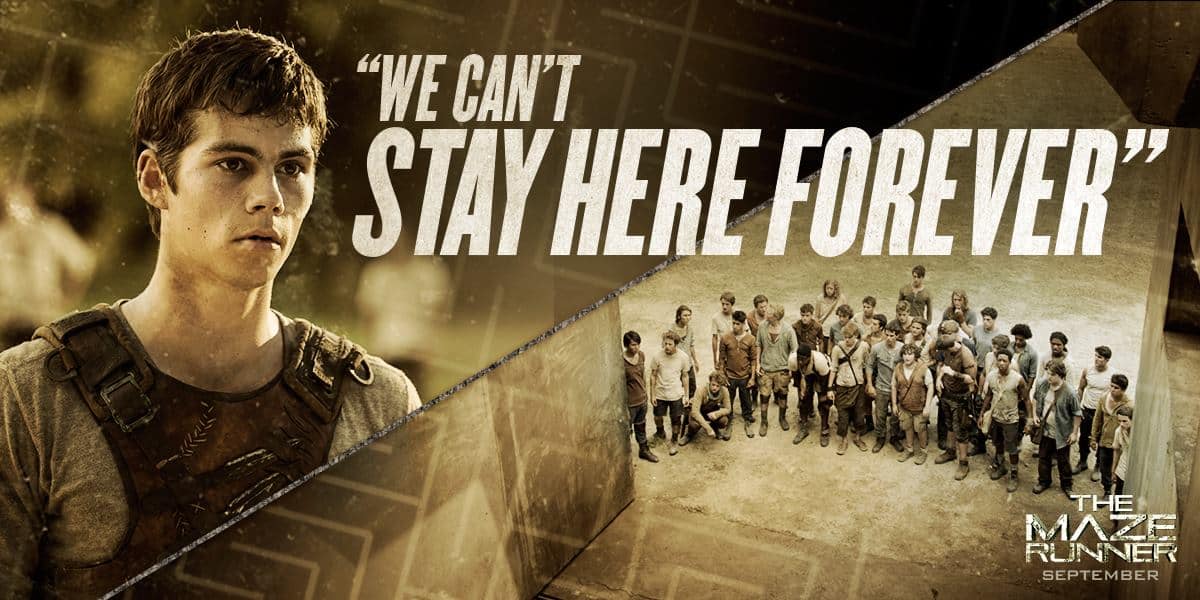 The Maze Runner Blog: Cast & Crew