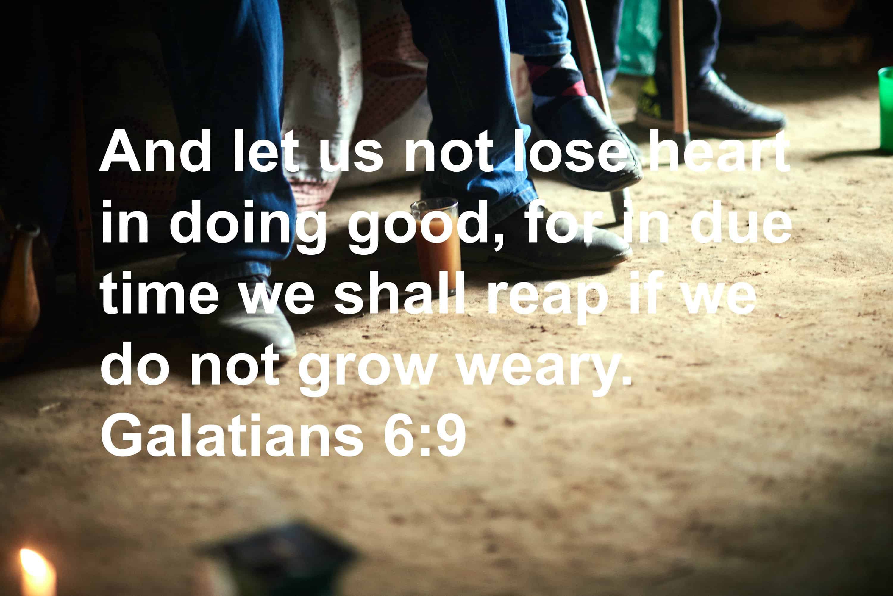 And let us not lose heart in doing good, for in due time we shall reap if we do not grow weary. – Galatians 6:9