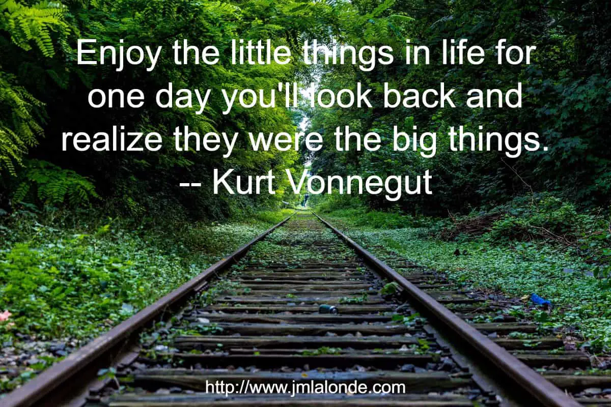 Enjoy the little things in life for one day you'll look back and realize they were the big things.