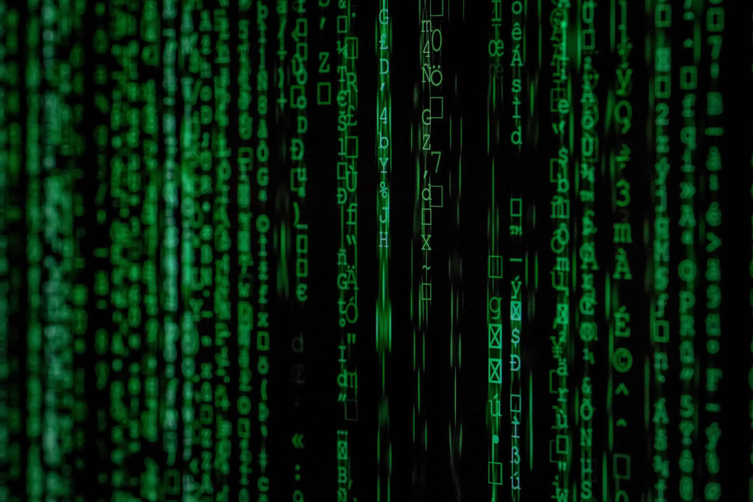 Image of a data download. Looks like the green letters in the Matrix