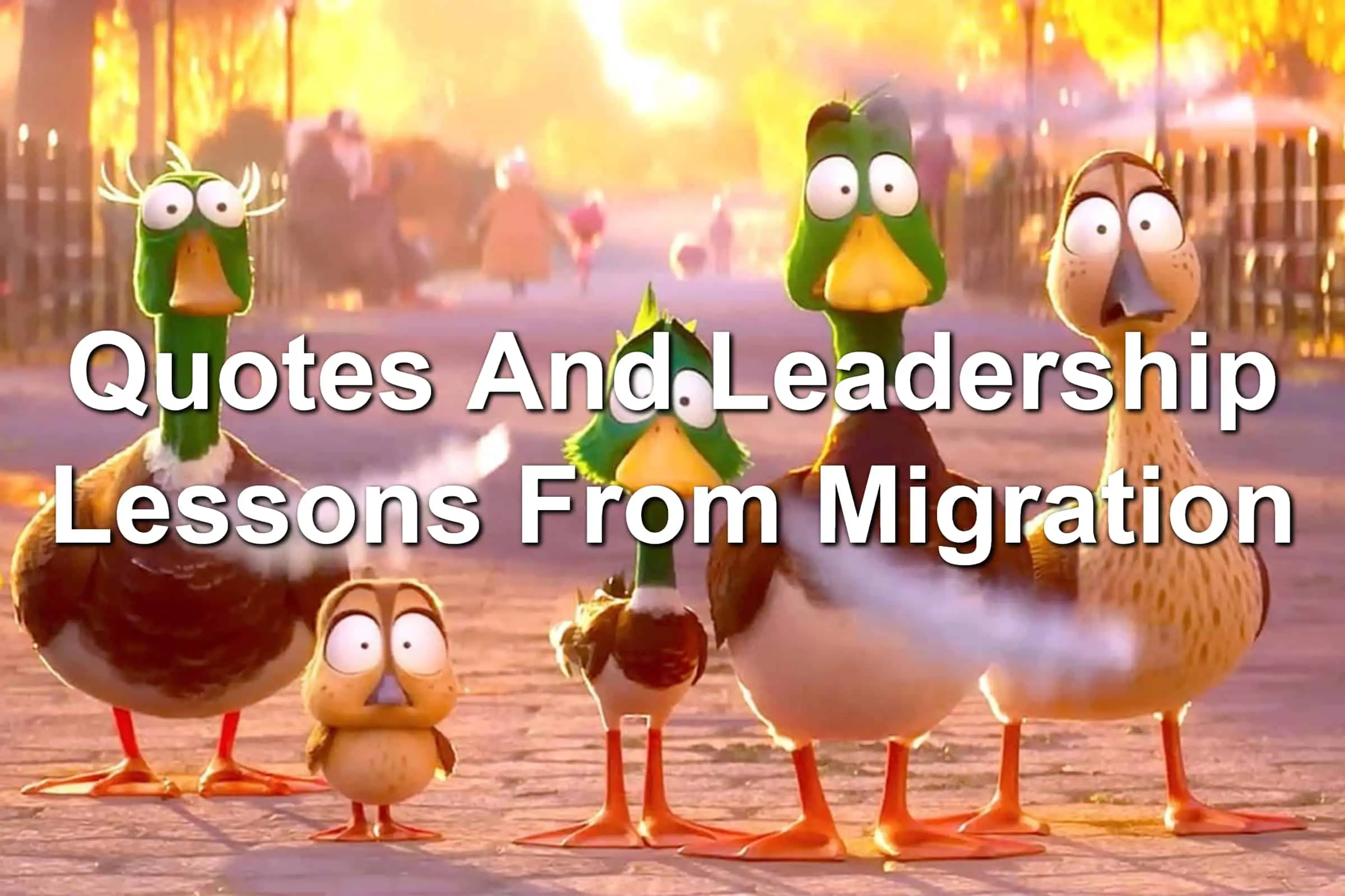 4 animated ducks standing on a sidewalk. Pigeon feathers are floating in the air.